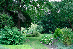 дендропарк в Копыле