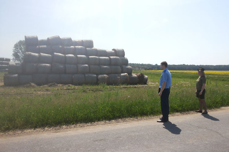 Мониторинг мест хранения грубых кормов