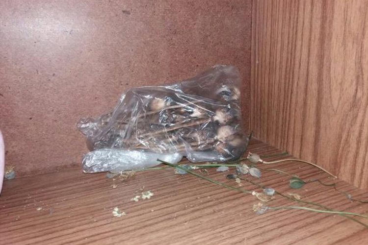 Наркоторговцы задержаны в слуцке