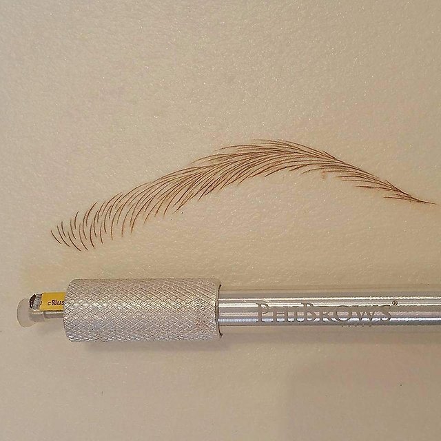 1443680487876 bulletin