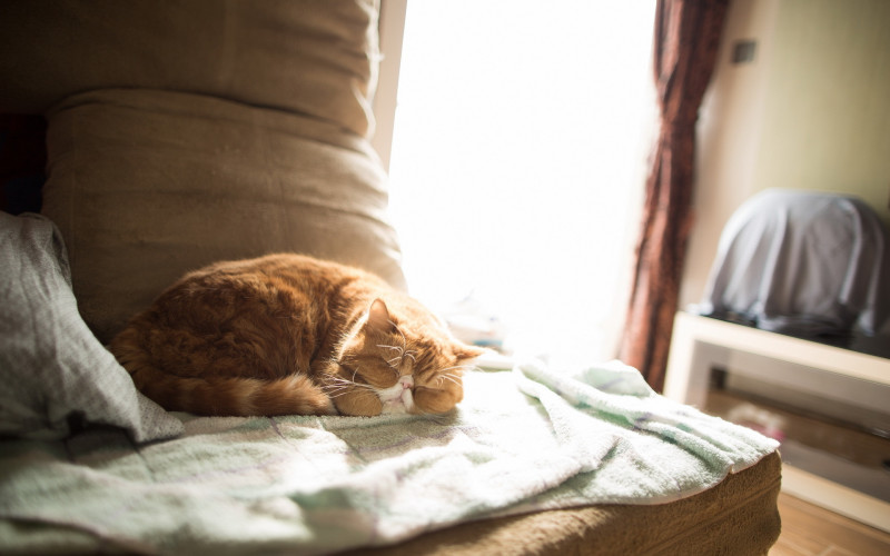 истории солигорчан, Солигорск, съем комнаты, солигорчане делятся