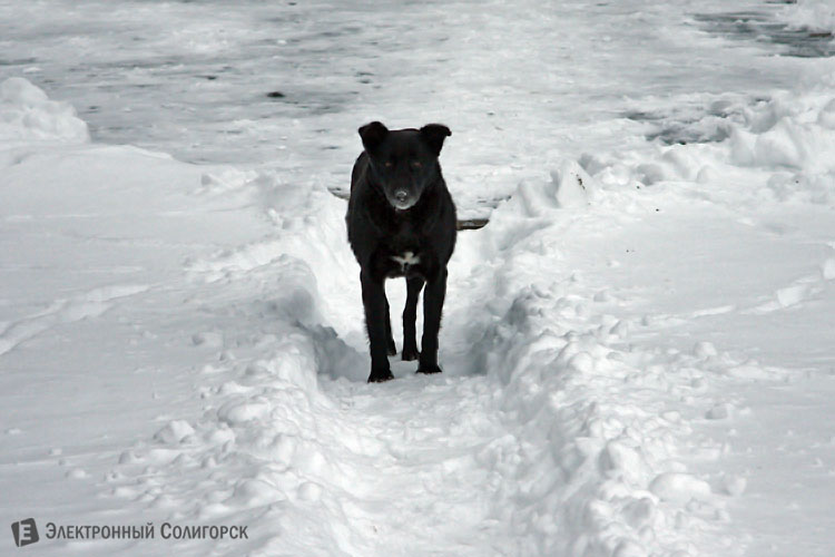 Слуцкая метеорологическая станция