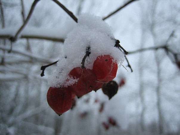 зима в Солигорске
