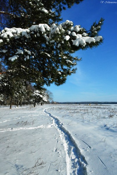 зима в Солигорске