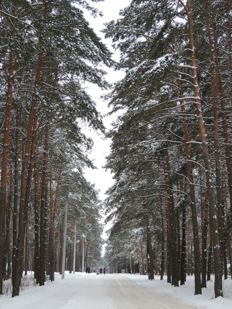 зима в Солигорске