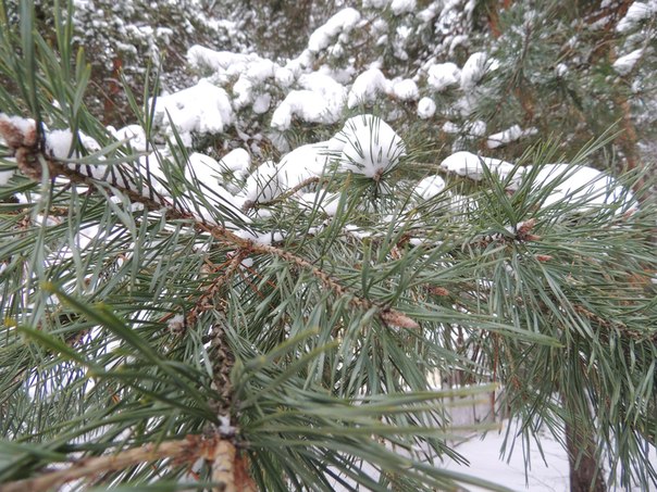 зима в Солигорске