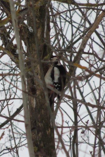 зима в Солигорске