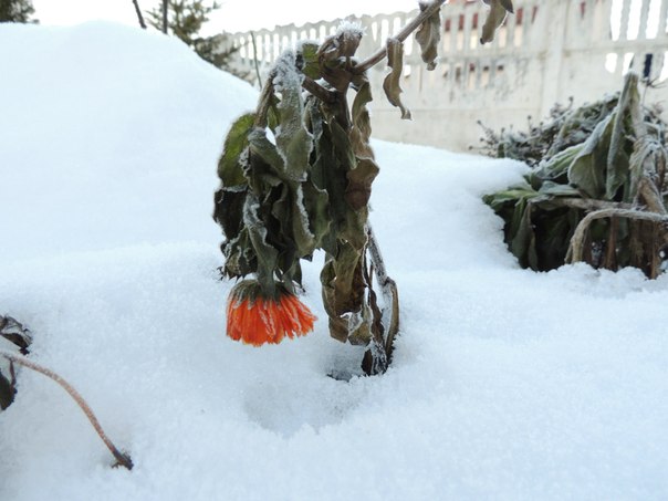 зима в Солигорске