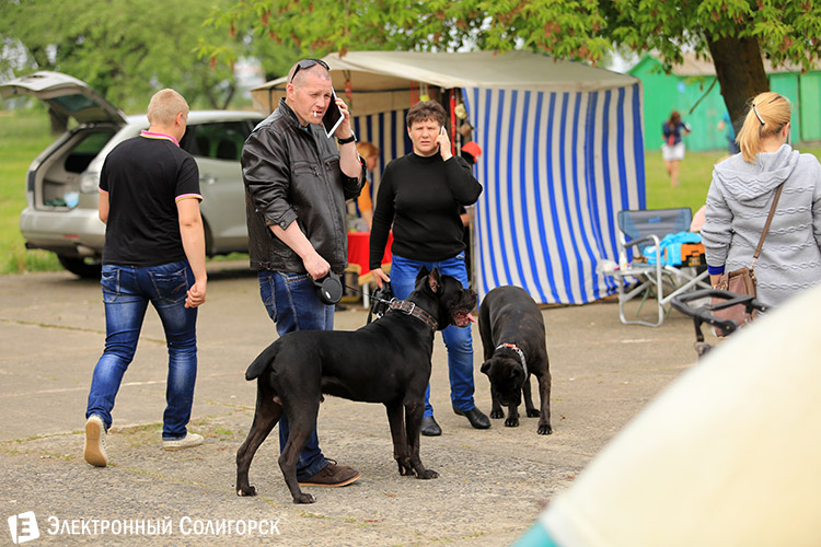 выставка собак в Солигорске