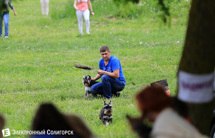 выставка собак в Солигорске