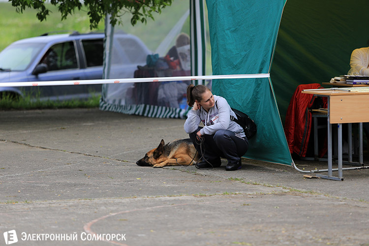 выставка собак в Солигорске