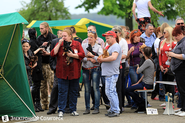 выставка собак в Солигорске