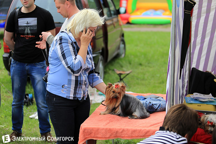 выставка собак в Солигорске