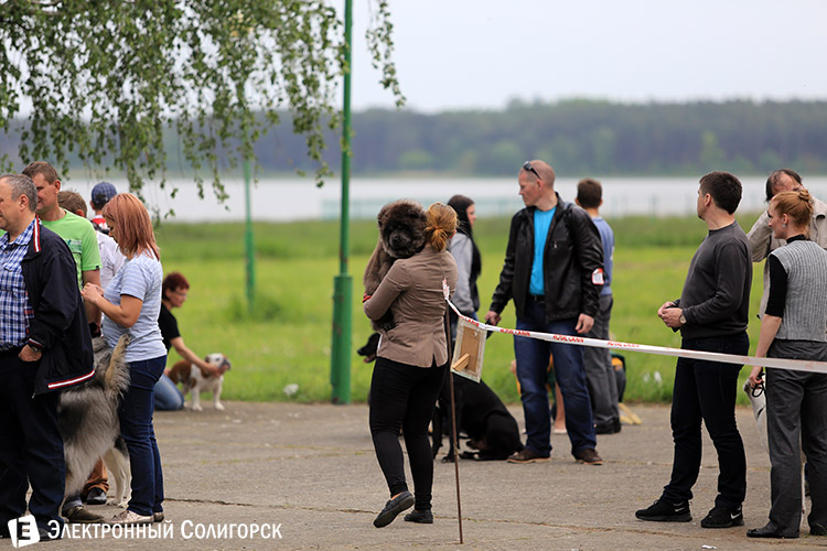 выставка собак в Солигорске