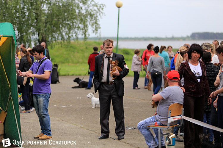 выставка собак в Солигорске