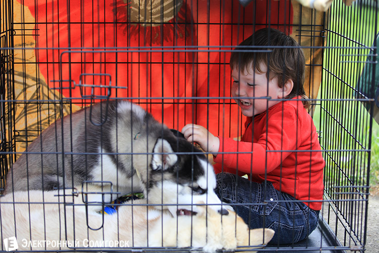 выставка собак в Солигорске