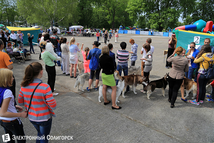 выставка собак в Солигорске