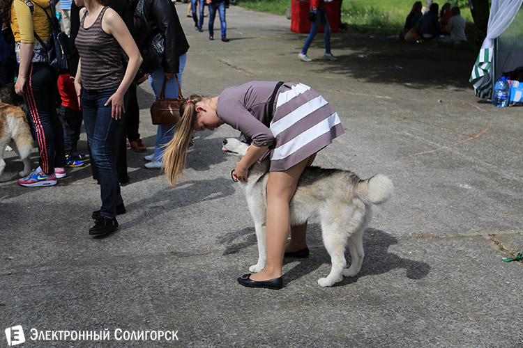 выставка собак в Солигорске