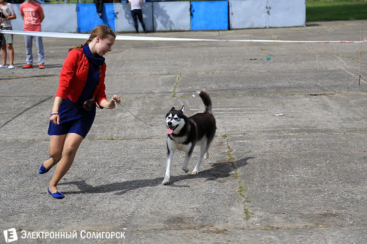 выставка собак в Солигорске