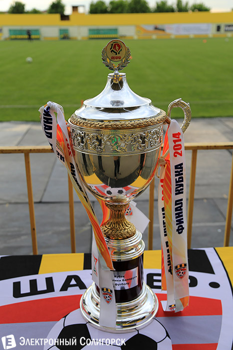 болельщики солигорского Шахтера