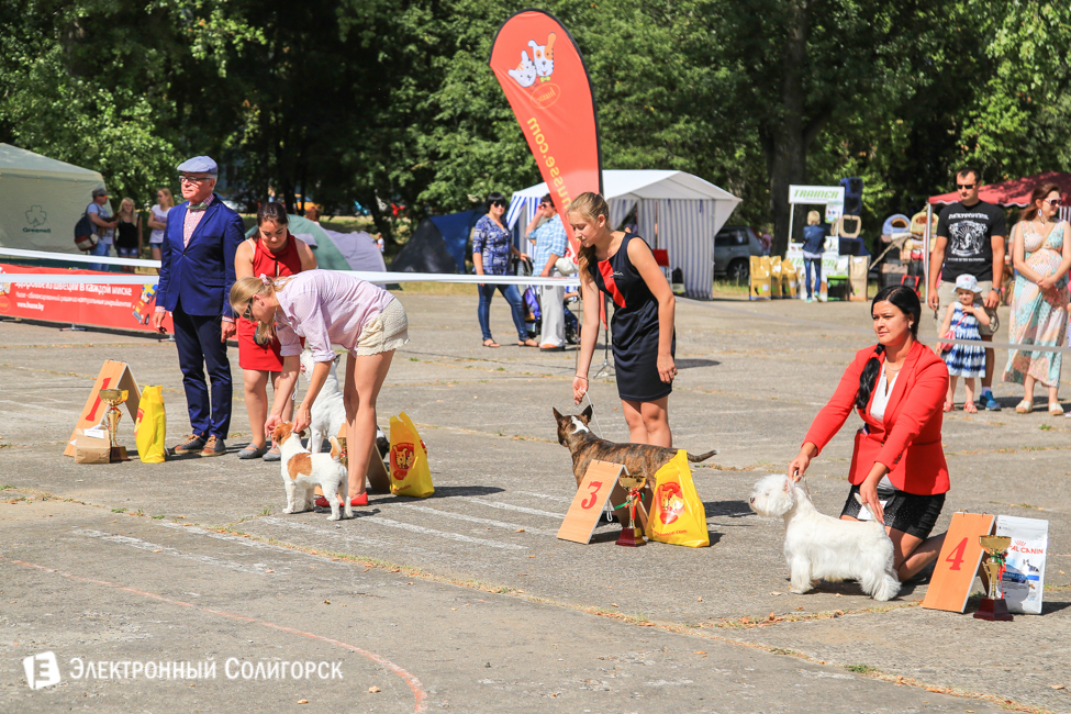 выставка собак в Солигорске