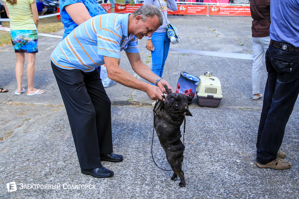 выставка собак в Солигорске
