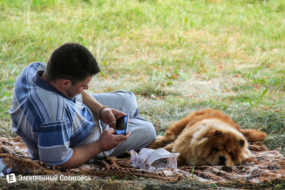 выставка собак в Солигорске