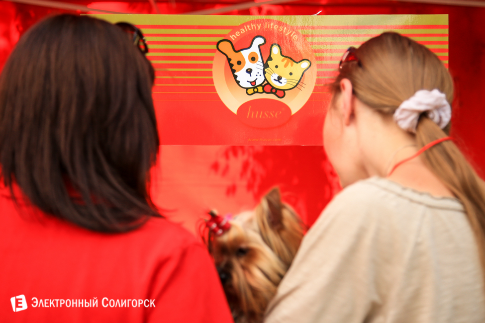 выставка собак в Солигорске