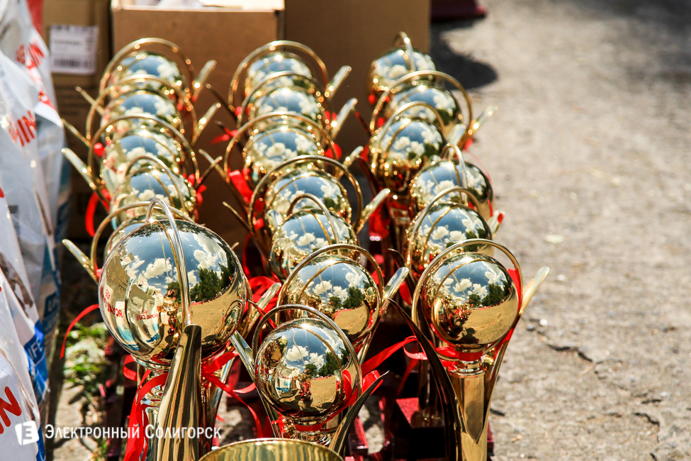 выставка собак в Солигорске