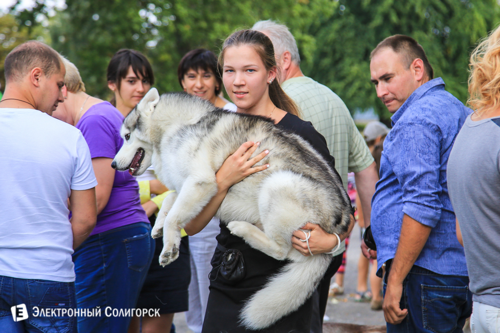 выставка собак в Солигорске