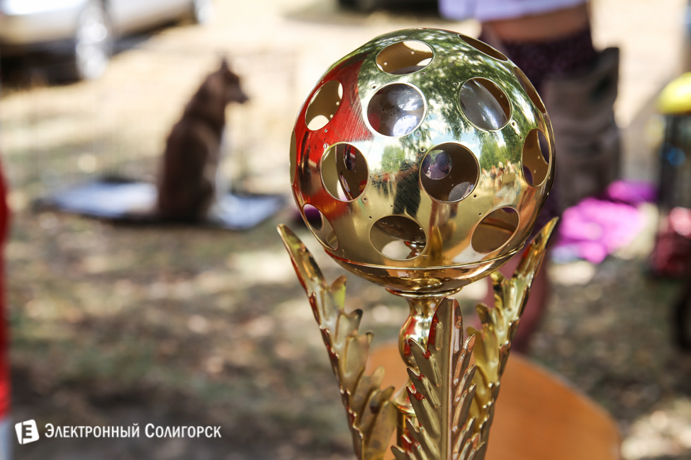 выставка собак в Солигорске