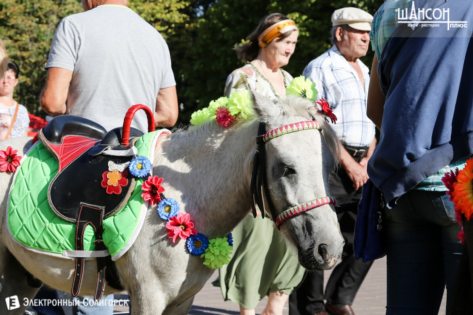 Праздник города Солигорск