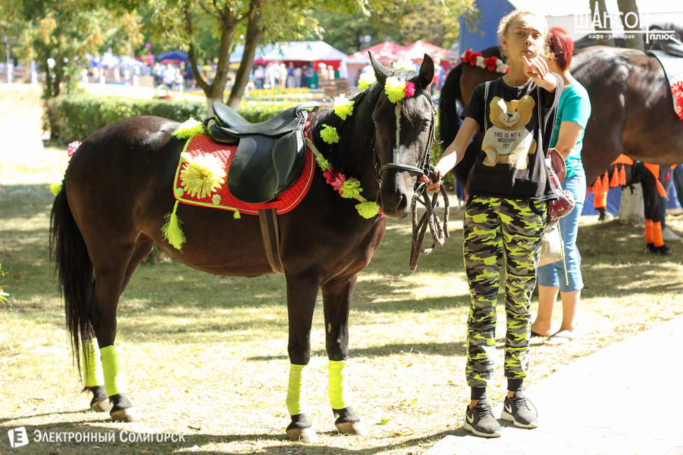 день города Солигорск