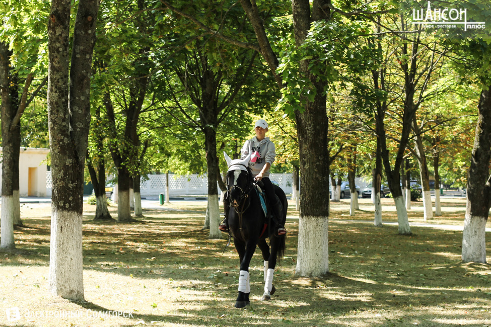 день города Солигорск