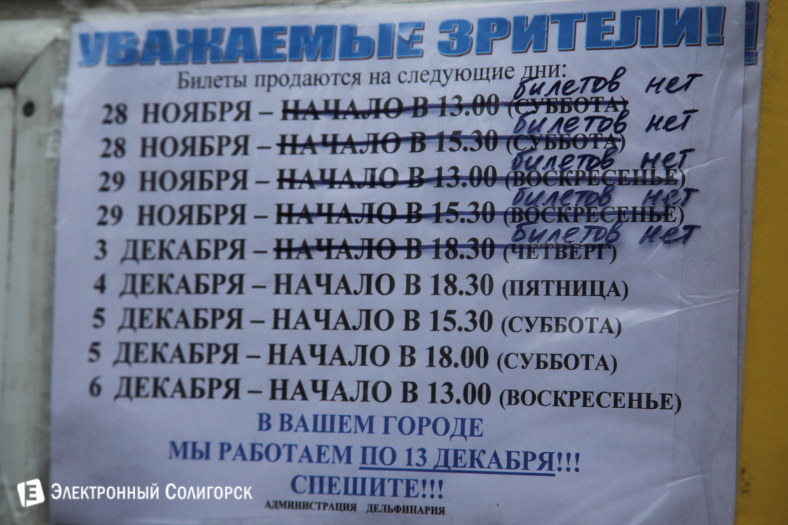 Дельфинарий в Солигорске