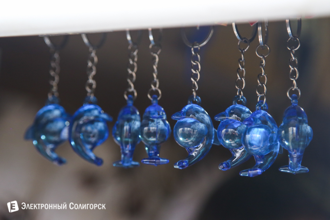 Дельфинарий в Солигорске