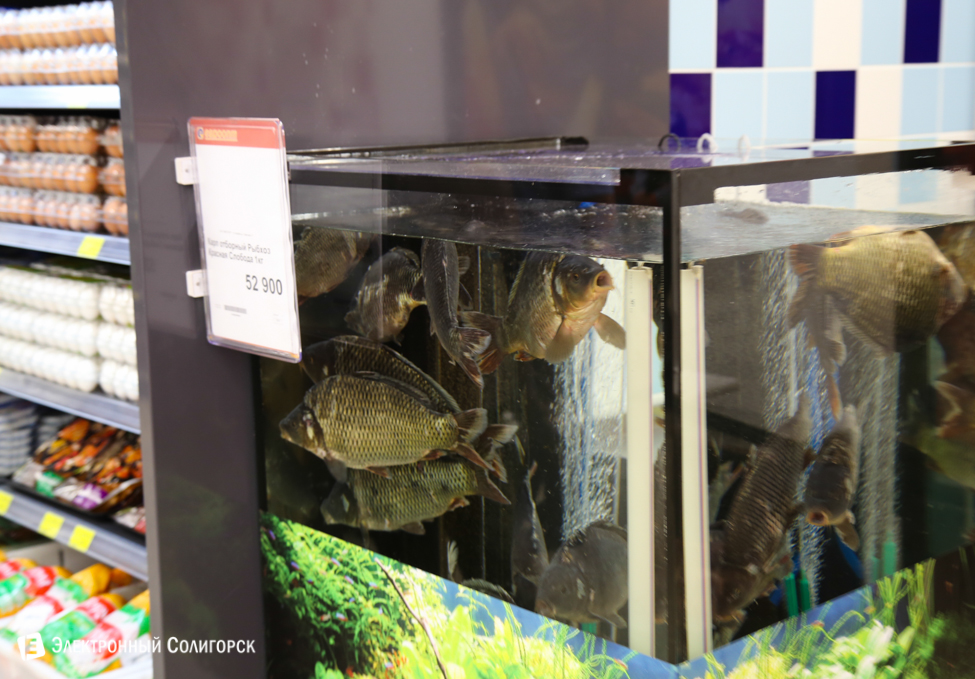 Евроопт в Старобине