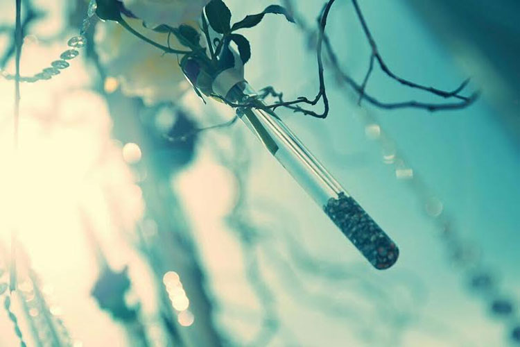 Как и где провести и организовать в Солигорске выездную регистрацию брака