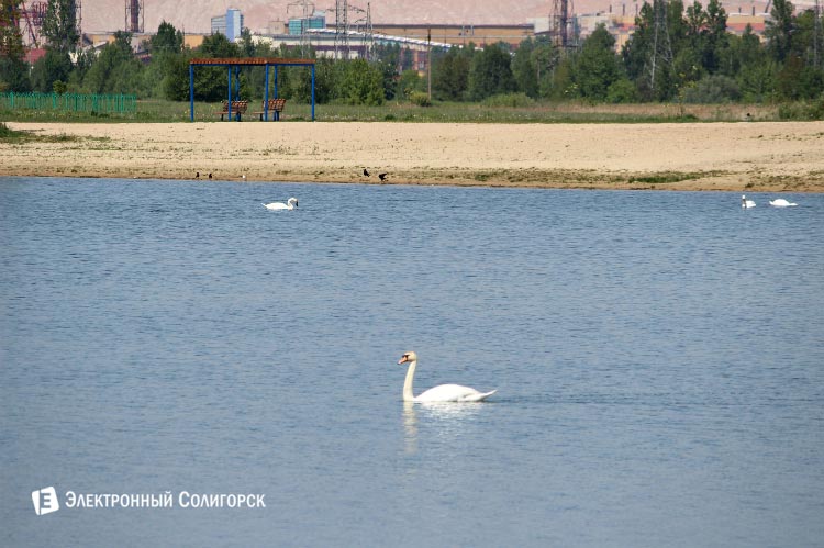 водоем солигорска