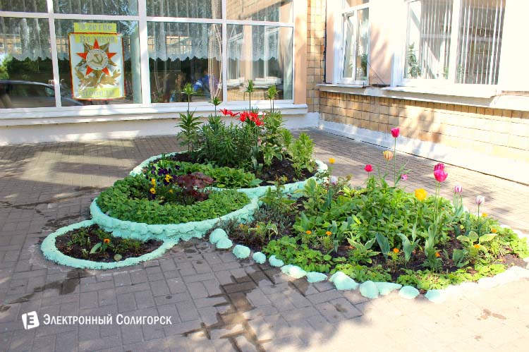 клумбы возле школы