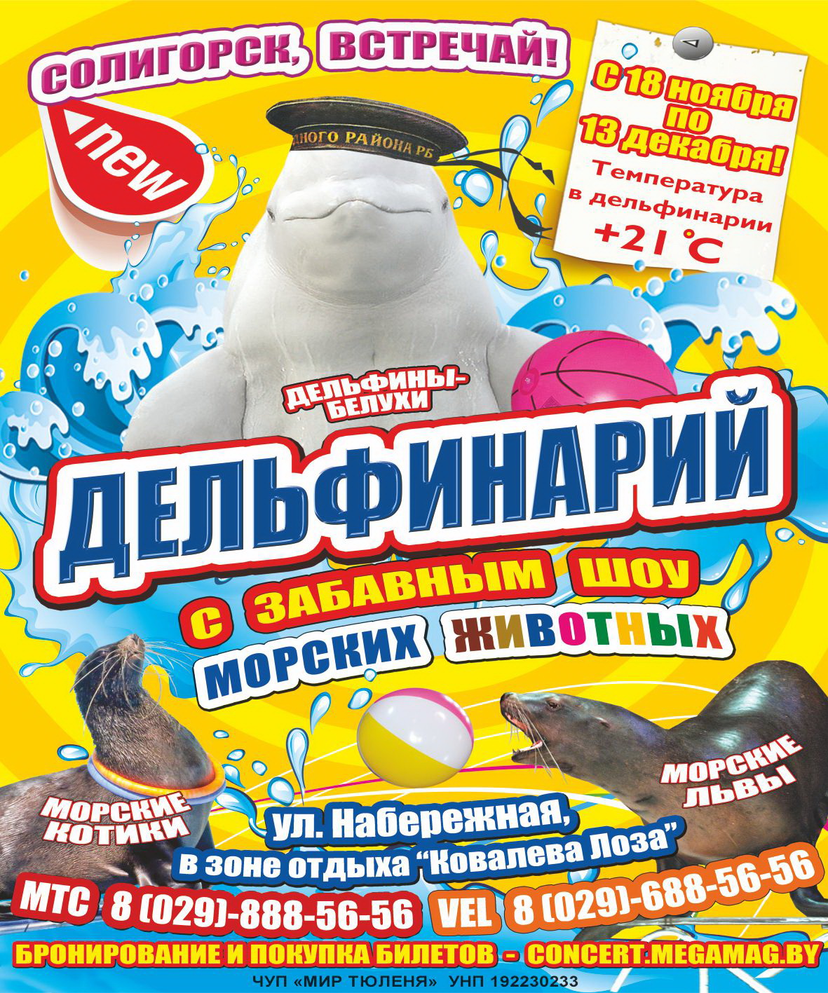 Дельфинарий в Солигорске