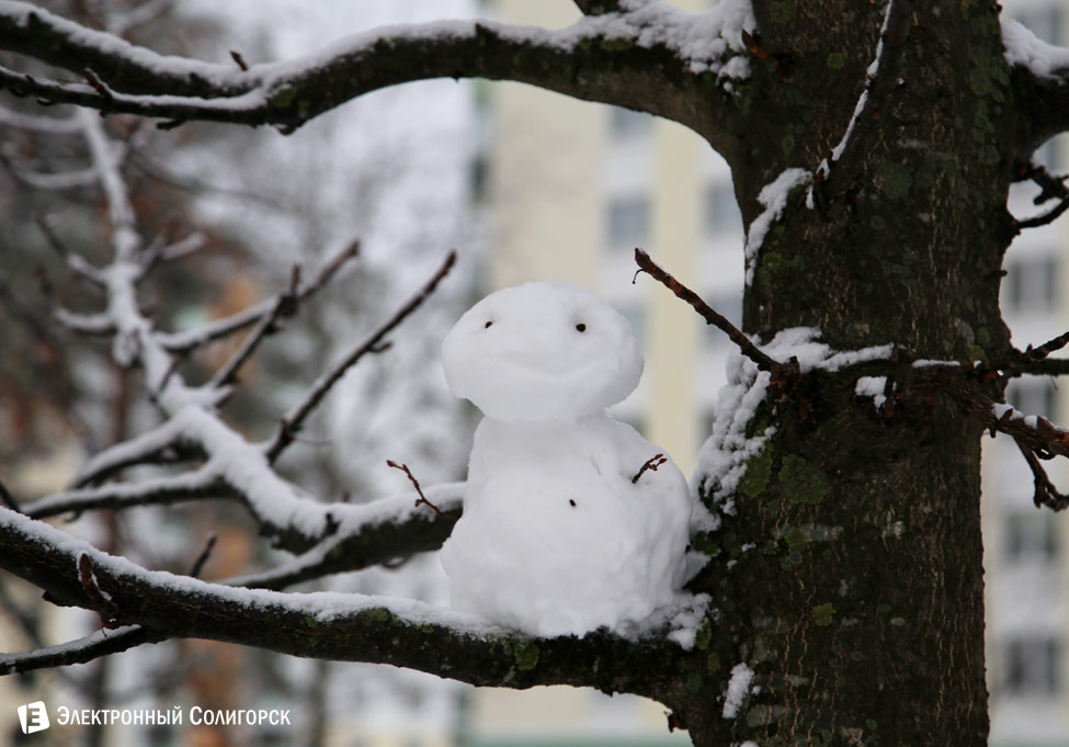 первый снег в Солигорске