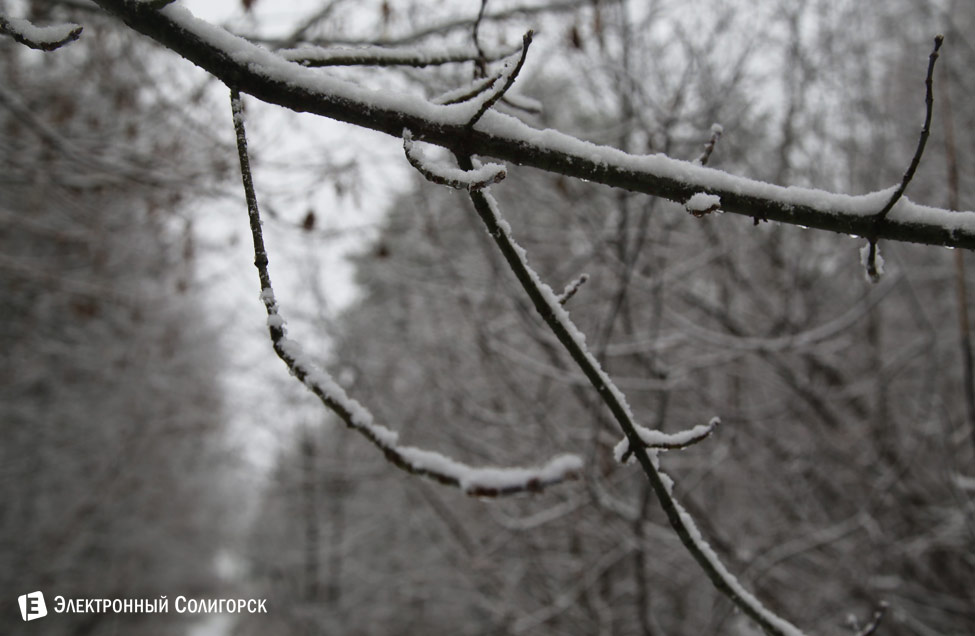 первый снег в Солигорске