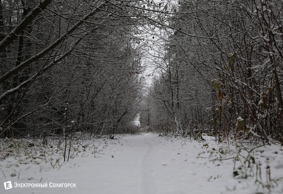 первый снег в Солигорске