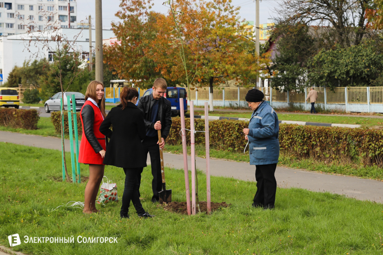 Аллея Матери в Солигорске