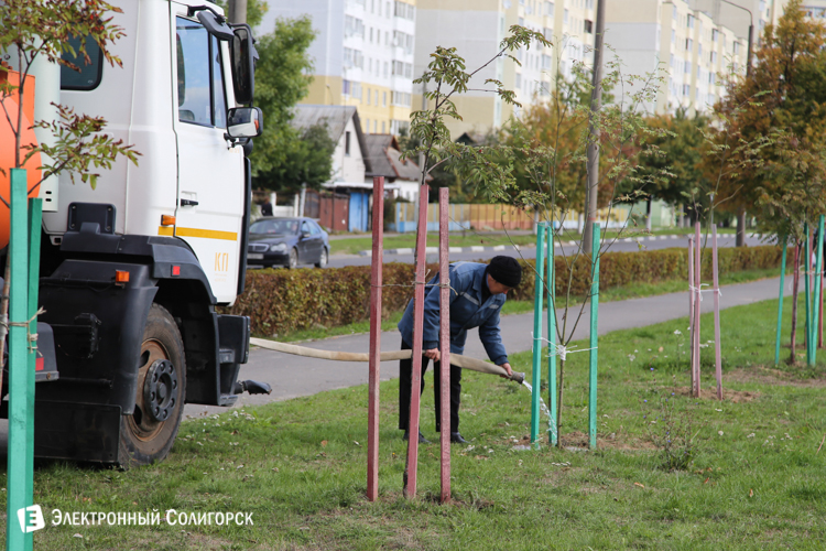 Аллея Матери в Солигорске