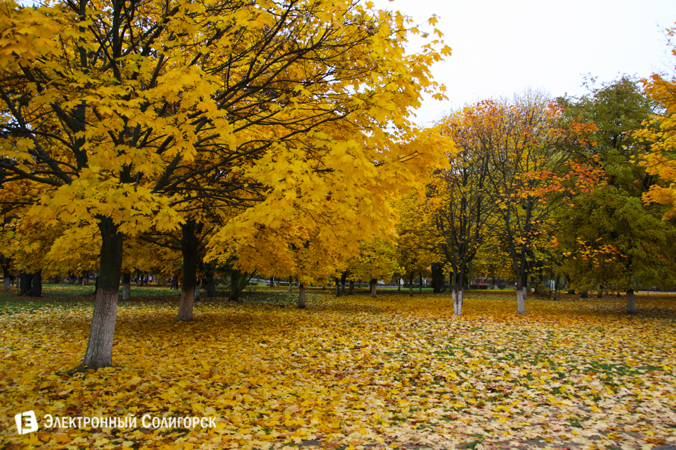 осень в солигорске