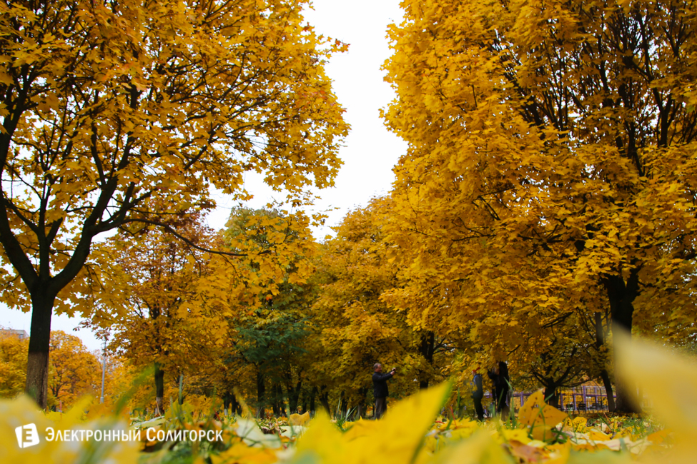 осень в солигорске