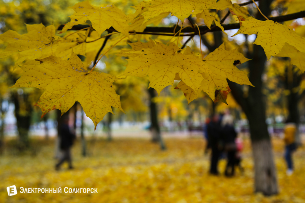 осень в солигорске