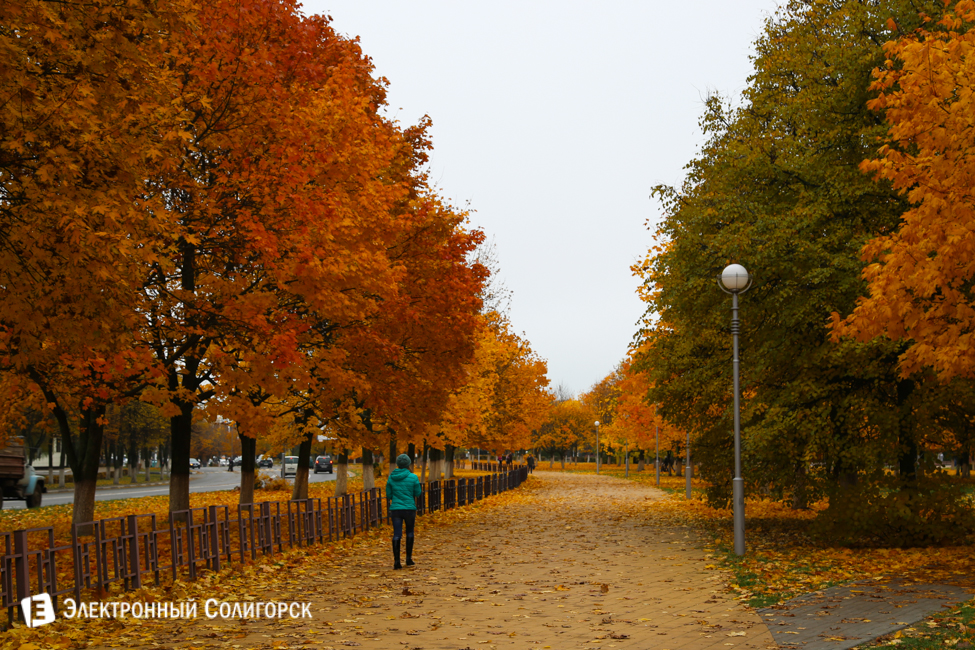 осень в солигорске